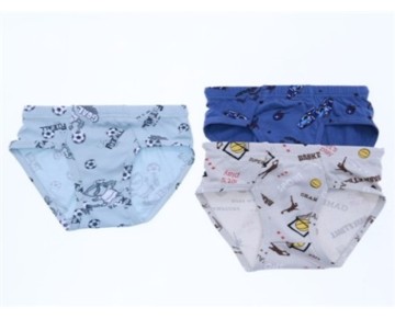 2/11 YAŞ -507-ERKEK ÇOCUK DESENLİ SLİP