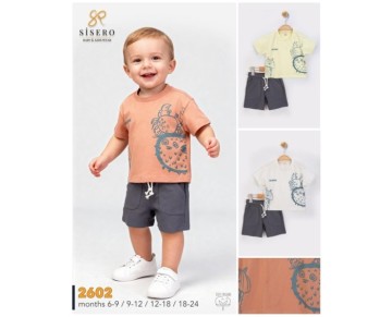 6/18 AY-2602-ERKEK BEBEK AYLIK TAKIM